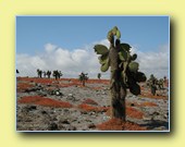 [Click to enlarge image]