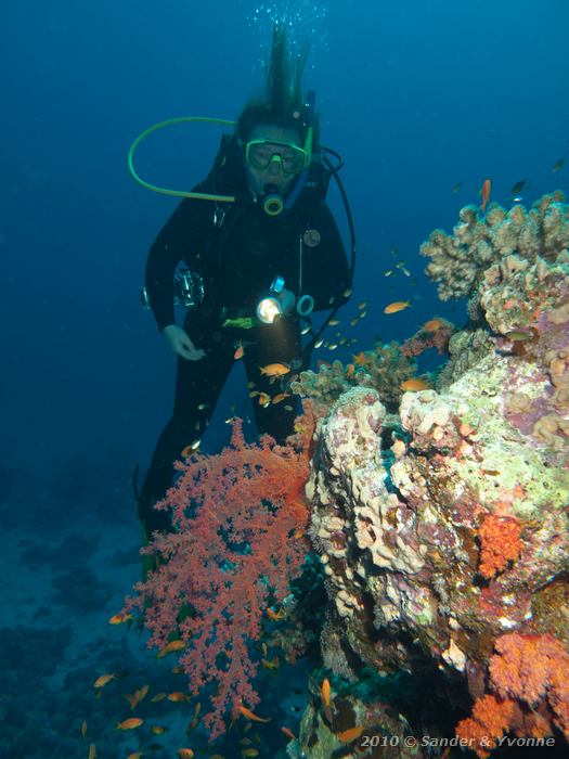 Yvonne with soft coral