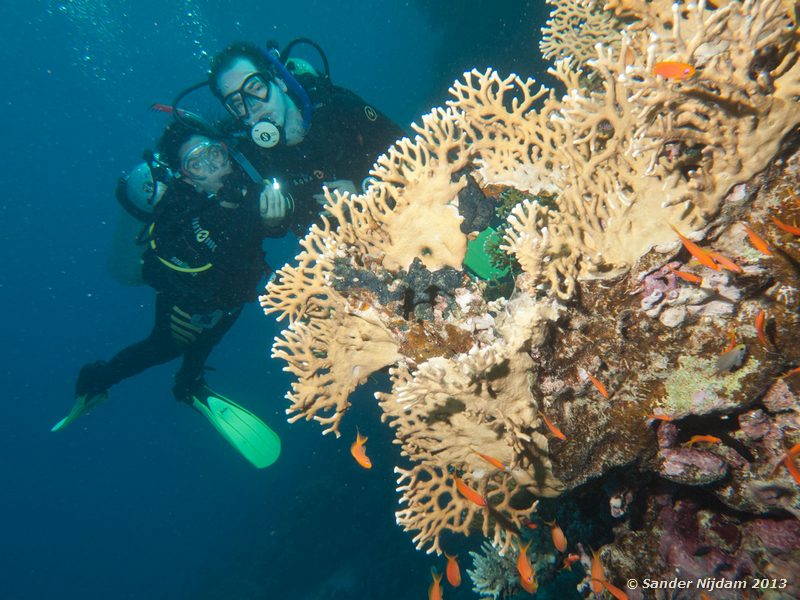  Marsa Shagra, Marsa Alam, Egypt