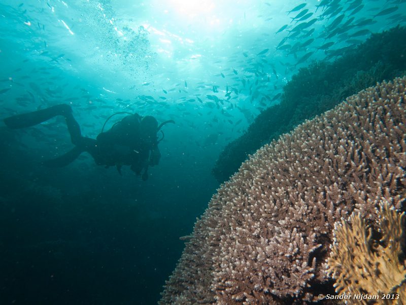  Marsa Shagra, Marsa Alam, Egypt