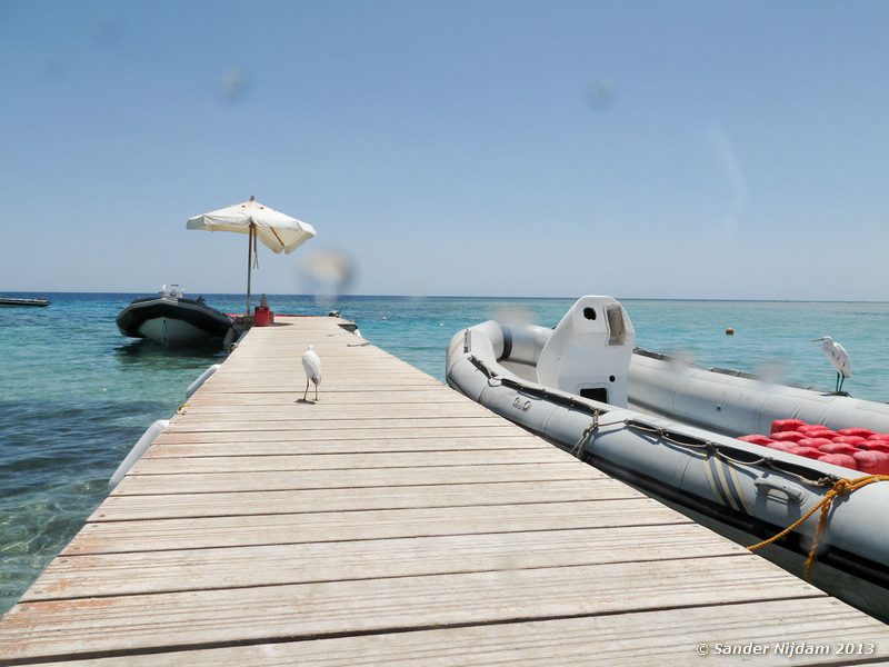  Marsa Shagra, Marsa Alam, Egypt