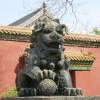 China journal