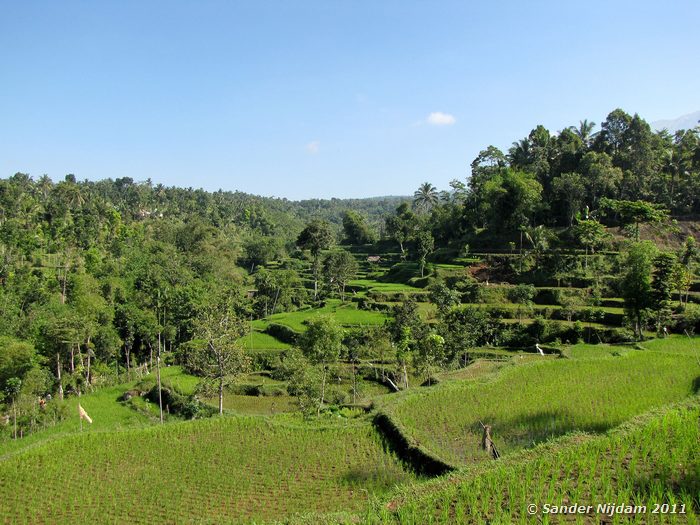  Tetebatu, Lombok