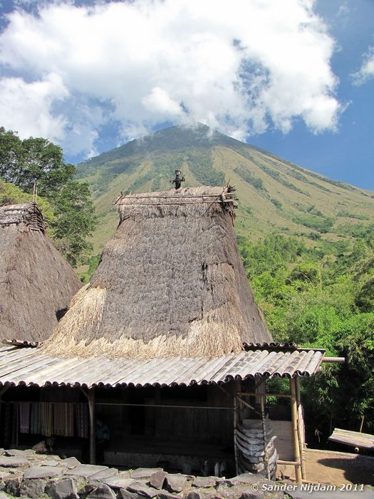  Bena, Flores