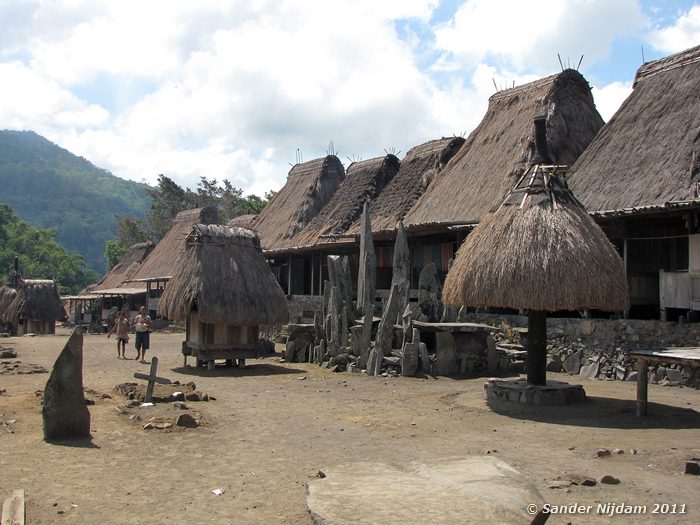  Bena, Flores