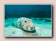 [Click to enlarge image]