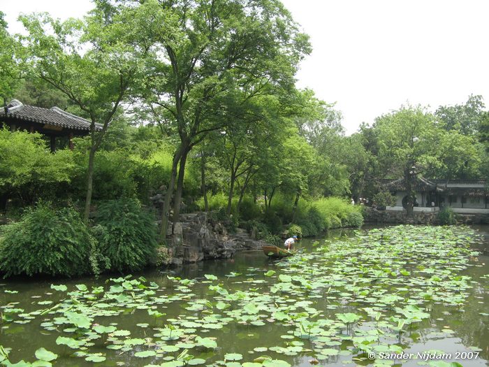 The humble administrator's garden, Suzhou