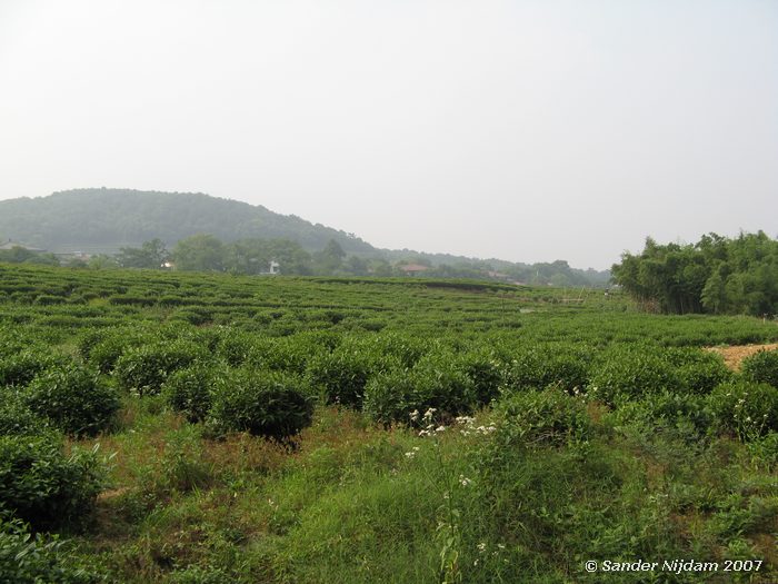 In de buurt van Hangzhou