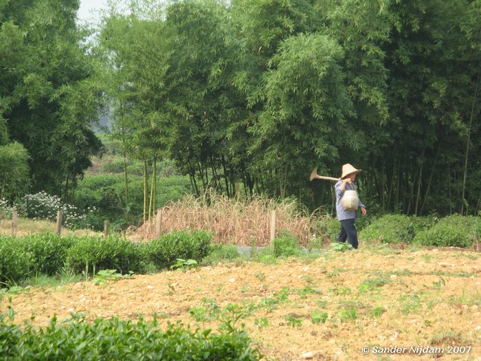 In de buurt van Hangzhou