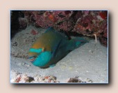 [Click to enlarge image]