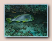 [Click to enlarge image]