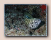 [Click to enlarge image]