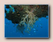 [Click to enlarge image]