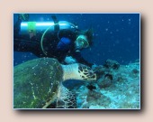 [Click to enlarge image]