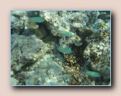 [Click to enlarge image]