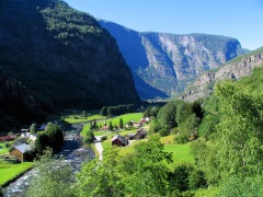 Flåmdal