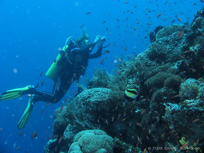 Yvonne, Mikes point, Bunaken NP