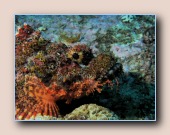 [Click to enlarge image]