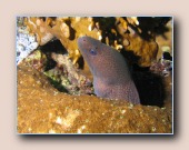 [Click to enlarge image]