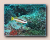 [Click to enlarge image]