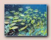 [Click to enlarge image]