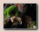 [Click to enlarge image]