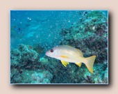 [Click to enlarge image]