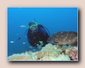 [Click to enlarge image]