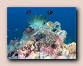 [Click to enlarge image]