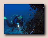 [Click to enlarge image]