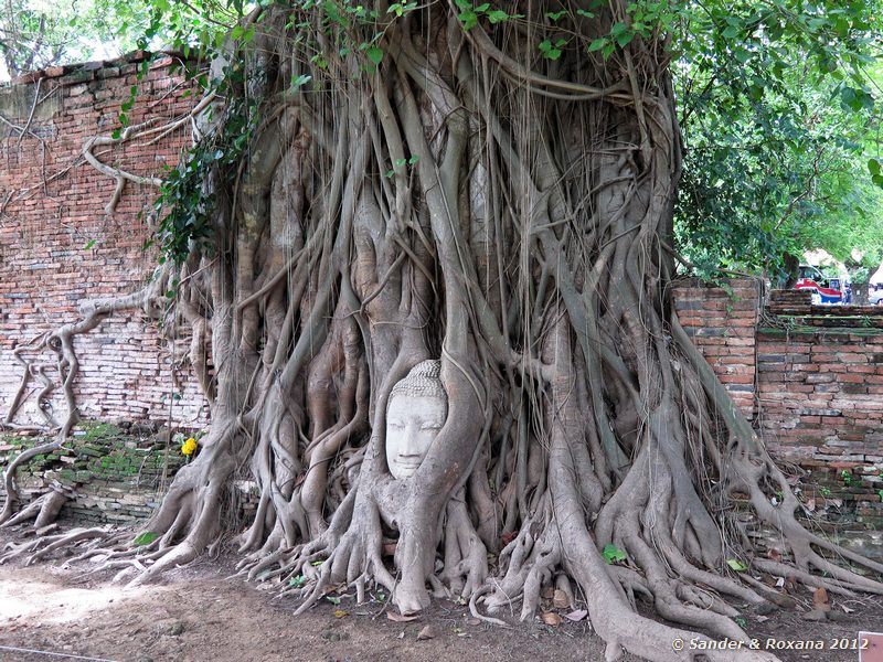  Wat Mahathat, Ayuthaya