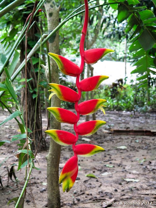  Mon dorp bij Jungle Rafts River Kwai Hotel