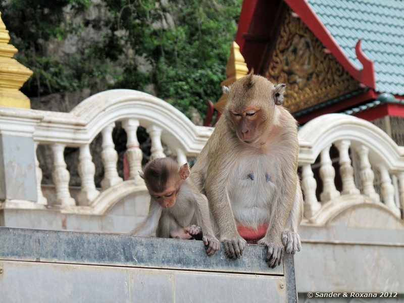  Khao Yoi Cave