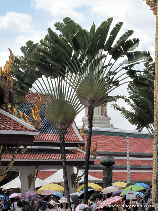  Grand Palace, Bangkok