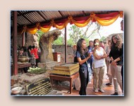 [Click to enlarge image]