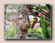 [Click to enlarge image]