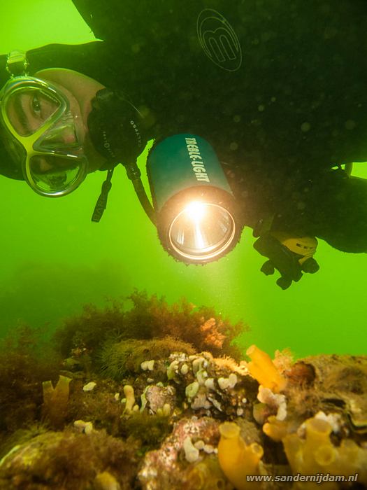 Scharendijke, 22-4-2011