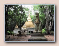Jungle-tempel