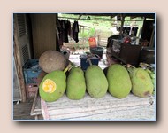 Nangka