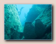 Barrel sponges