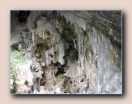 Grot