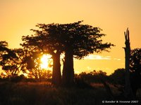 Zonsopkomst
