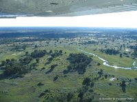 Okavangodelta