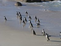 En doorlopen