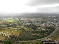 Constantia