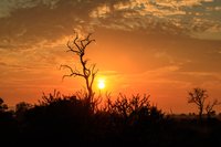 Zonsopkomst