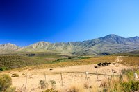 Op weg naar de Swartbergpas