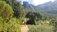 Botanische tuin Kirstenbosch