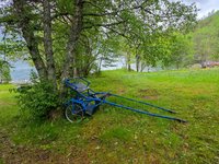 Oude kar onder een boom